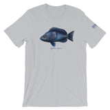 Hypoplectrus Nigricans Hamlet Fish T-Shirt by Spawnicorn in Grey
