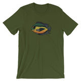 Uaru Cichlid T-Shirt (Uaru Amphiacanthoides) | Wildstyle