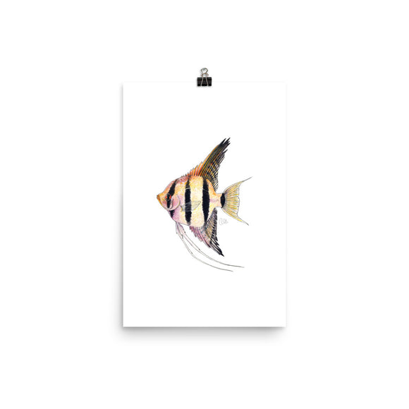 Pterophyllum scalare Angelfish Art Print