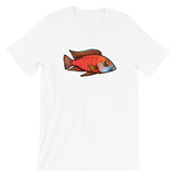 Aulonocara sp. Rubescens "Ruby Red" T-Shirt | WildStyle