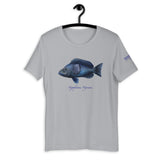 Hypoplectrus Nigricans Hamlet Fish T-Shirt by Spawnicorn in Grey on a hanger