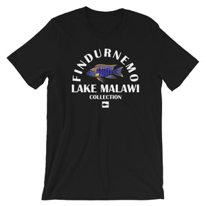 Aulonocara sp. "Lwanda" Hai Reef Wildstyle T-Shirt - Lake Malawi Collection