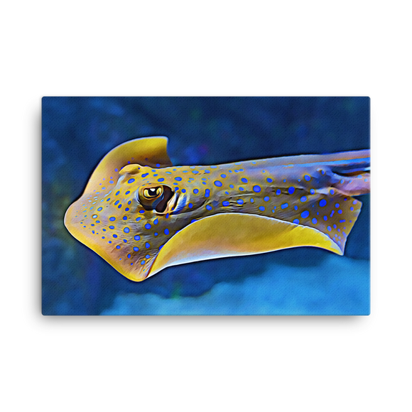 Blue-Spotted Ribbontail Ray Canvas