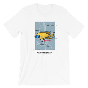 Aulonocara baenschi nkomo reef "benga sunshine" peacock cichlid t-shirt - Collection Point Series