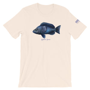 Hypoplectrus Nigricans Hamlet Fish T-Shirt by Spawnicorn