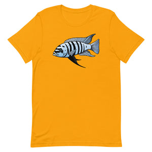 Maison Reef Zebra - Metriaclima fainzilberi Maisoni T-Shirt