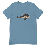 Panaque cochliodon (Blue Eyed Panaque) T-Shirt  | Blue X 2D