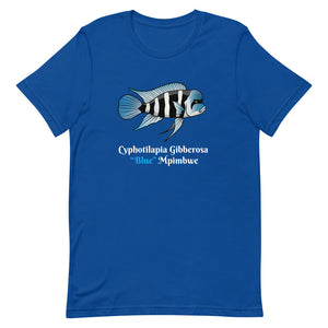 Cyphotilapia frontosa Mpimbwe ‘Blue’ Shirt